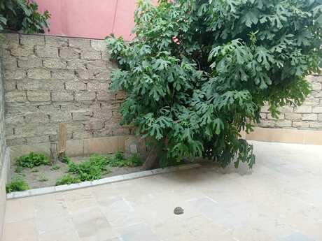 7-room house for sale in Maştağa, 240 m², 120 000 AZN, photo 5 / 12