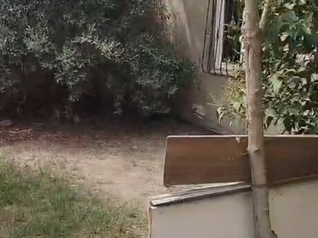 Binəqədidə 1 otaqlı həyət evi kirayə verilir, 40 m², 200 AZN/ay, şəkil 2 / 12