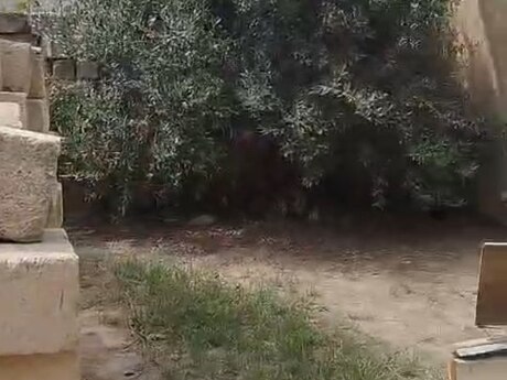 Binəqədidə 1 otaqlı həyət evi kirayə verilir, 40 m², 200 AZN/ay, şəkil 4 / 12