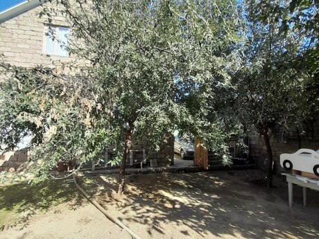 Hövsanda 4 otaqlı həyət evi satılır, 120 m², 75 000 AZN, şəkil 4 / 12