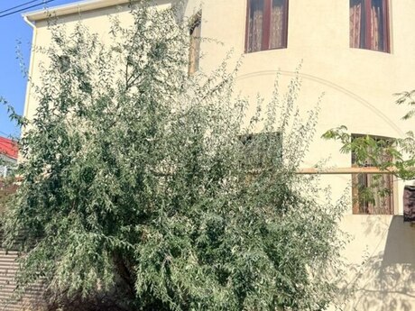 6 rooms · 215 m² · floor 1/1, Badamdar