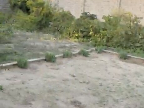 Albalılıqda 3 otaqlı həyət evi satılır, 90 m², 185 000 AZN, şəkil 4 / 7