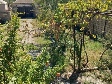 Binəqədidə 2 otaqlı həyət evi kirayə verilir, 80 m², 350 AZN/ay, şəkil 4 / 10