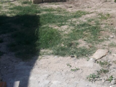 Pirşağıda 3 otaqlı həyət evi satılır, 59 m², 39 000 AZN, şəkil 5 / 12