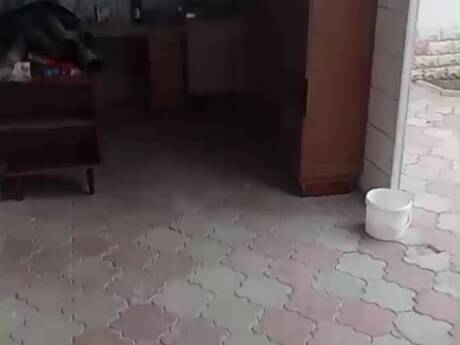 Bakıxanovda 1 otaqlı həyət evi kirayə verilir, 30 m², 320 AZN/ay, şəkil 5 / 8