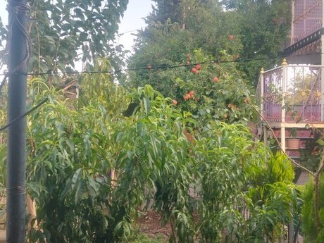 3-room house for sale in Yeni Suraxanı, 100 m², 140 000 AZN, photo 5 / 12