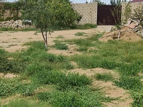 Nardaranda 4 otaqlı həyət evi satılır, 200 m², 330 000 AZN, şəkil 5 / 12