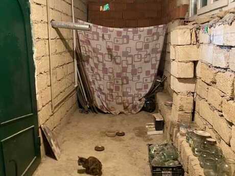 Müşfiqabadda 2 otaqlı həyət evi satılır, 100 m², 28 000 AZN, şəkil 3 / 12