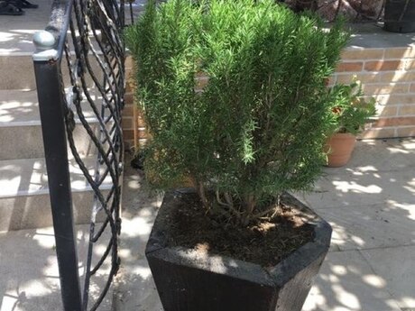 Qalada 3 otaqlı həyət evi kirayə verilir, 140 m², 600 AZN/ay, şəkil 3 / 12