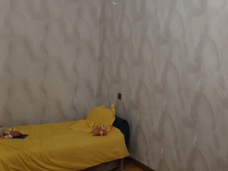 3 otaq · 75 m²