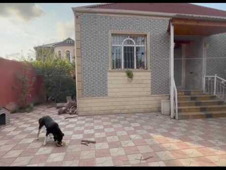 4-комн. · 120 m² · 1/1 этаж, Savalan