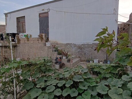 3 otaq · 100 m² · 1/1 mərtəbə, Qobu