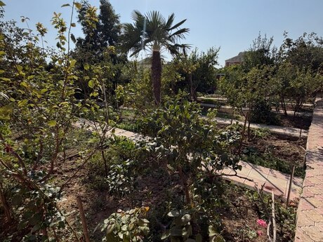Mehdiabadda 10 otaqlı həyət evi satılır, 500 m², 500 000 AZN, şəkil 3 / 12