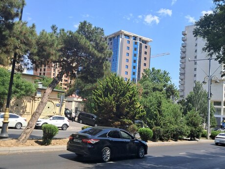 Nizamidə 1 otaqlı həyət evi kirayə verilir, 15 m², 280 AZN/ay, şəkil 2 / 10