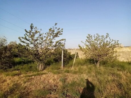 Sulutəpədə 2 otaqlı həyət evi kirayə verilir, 120 m², 450 AZN/ay, şəkil 5 / 12