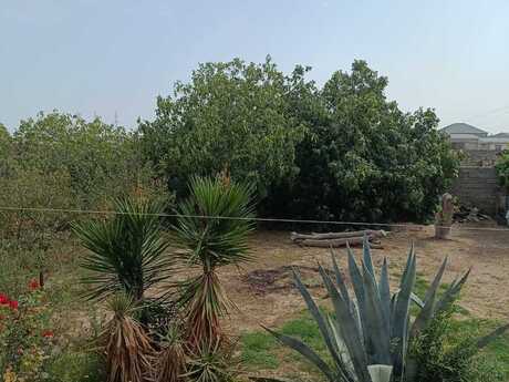 Maştağada 4 otaqlı həyət evi satılır, 180 m², 185 000 AZN, şəkil 3 / 12