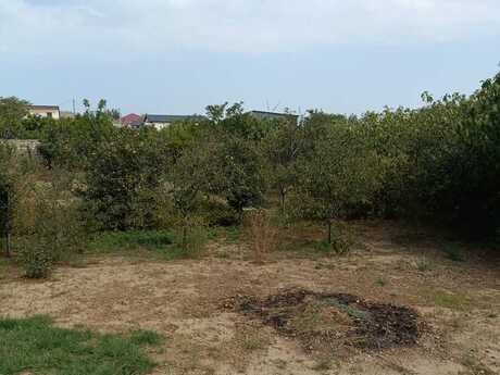Maştağada 4 otaqlı həyət evi satılır, 180 m², 185 000 AZN, şəkil 2 / 12