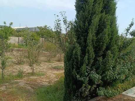 Maştağada 4 otaqlı həyət evi satılır, 180 m², 185 000 AZN, şəkil 4 / 12
