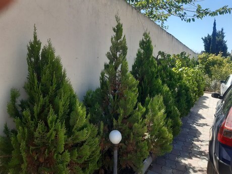 5-room house for sale in Görədil, 200 m², 250 000 AZN, photo 3 / 12