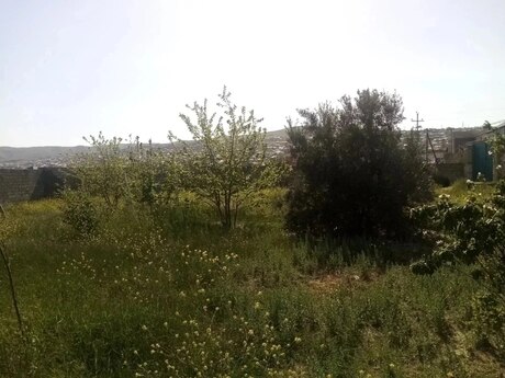 Sulutəpədə 2 otaqlı həyət evi kirayə verilir, 120 m², 450 AZN/ay, şəkil 5 / 12