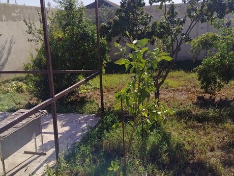 8 otaq · 475 m² · 3/3 mərtəbə, Maştağa