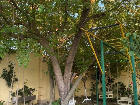 Buzovnada 5 otaqlı həyət evi satılır, 180 m², 340 000 AZN, şəkil 4 / 12