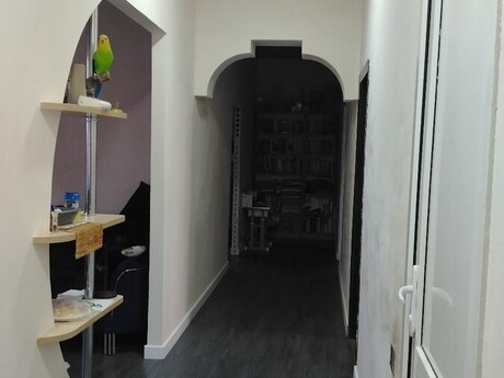 3 otaq · 95 m²