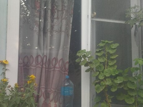 Yasamalda 2 otaqlı həyət evi kirayə verilir, 30 m², 100 AZN/ay, şəkil 2 / 3