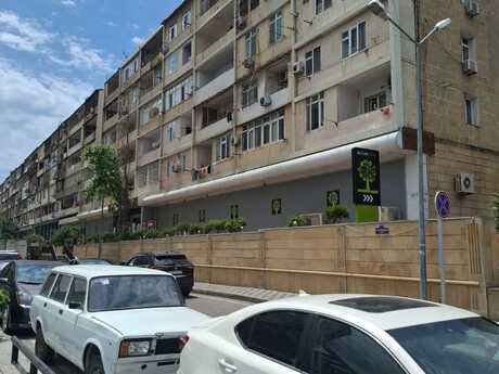 3 otaq · 88 m²