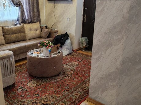 4 rooms · 154 m²