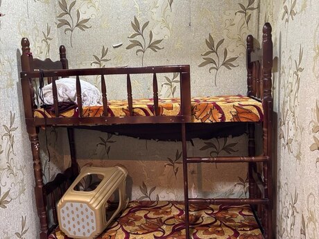 2-room house for rent in Bayıl, 40 m², 300 AZN/mo, photo 2 / 8