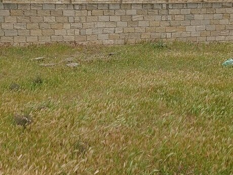 3-room house for sale in Mehdiabad, 100 m², 40 000 AZN, photo 2 / 12