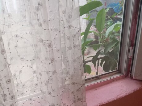 1-room house for rent in Avtovağzal, 20 m², 250 AZN/mo, photo 2 / 12