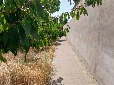 Novxanıda 9 otaqlı həyət evi satılır, 385 m², 190 000 AZN, şəkil 4 / 12