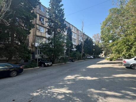 3 otaq · 65 m²