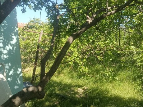 Pirşağıda 2 otaqlı həyət evi satılır, 60 m², 85 000 AZN, şəkil 3 / 4