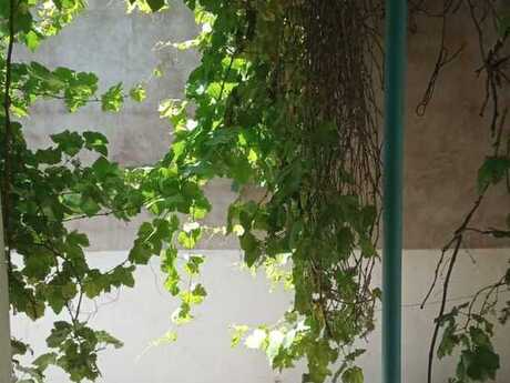 Çapayevdə 5 otaqlı həyət evi kirayə verilir, 220 m², 800 AZN/ay, şəkil 5 / 12