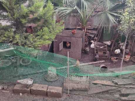 Qobuda 3 otaqlı həyət evi satılır, 120 m², 36 000 AZN, şəkil 5 / 12