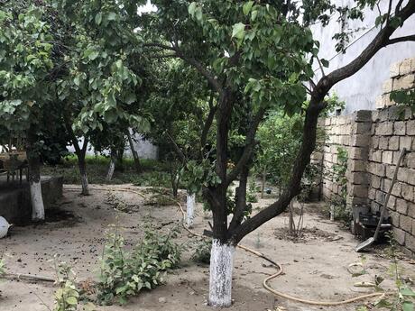 Digahda 4 otaqlı həyət evi satılır, 96 m², 185 000 AZN, şəkil 4 / 12