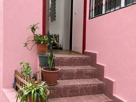 4 otaq · 126 m²