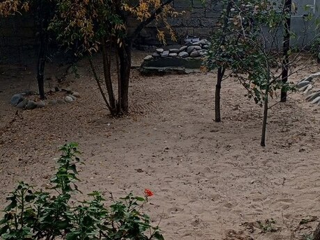 Şüvəlanda 1 otaqlı həyət evi satılır, 32 m², 70 000 AZN, şəkil 3 / 9
