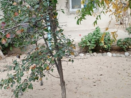 Şüvəlanda 1 otaqlı həyət evi satılır, 32 m², 70 000 AZN, şəkil 4 / 9