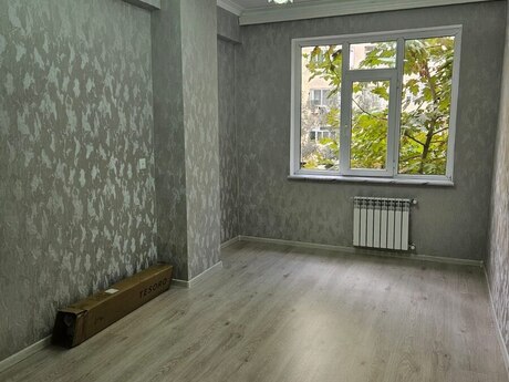 2 otaq · 50 m²