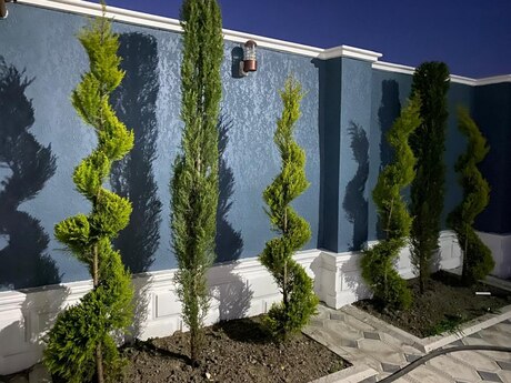 Binədə 3 otaqlı həyət evi satılır, 100 m², 89 000 AZN, şəkil 3 / 12