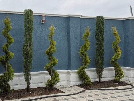 Binədə 3 otaqlı həyət evi satılır, 100 m², 89 000 AZN, şəkil 5 / 12