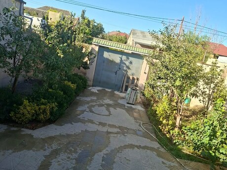 3 otaq · 250 m²