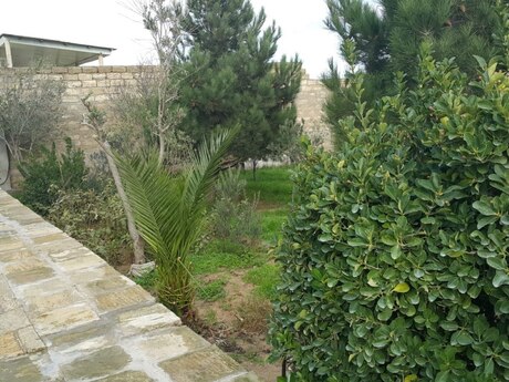 Maştağada 8 otaqlı həyət evi satılır, 1 000 m², 160 000 AZN, şəkil 3 / 12