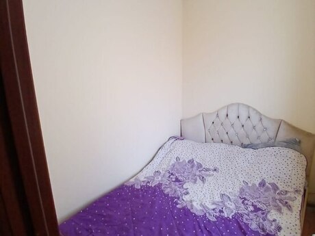 Abşeronda 2 otaqlı həyət evi kirayə verilir, 45 m², 350 AZN/ay, şəkil 2 / 5