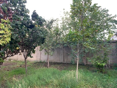 Sarayda 5 otaqlı həyət evi kirayə verilir, 255 m², 800 AZN/ay, şəkil 4 / 12