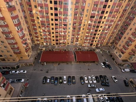 3 otaq · 65 m²